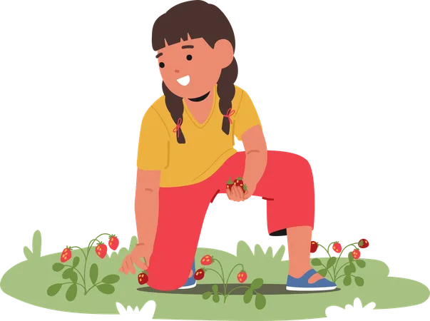 Kid collecting wild berries in park  Illustration