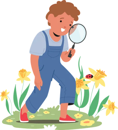 Kid finding bug in park  Illustration