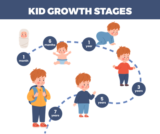 Kid growth stages infographic  Illustration
