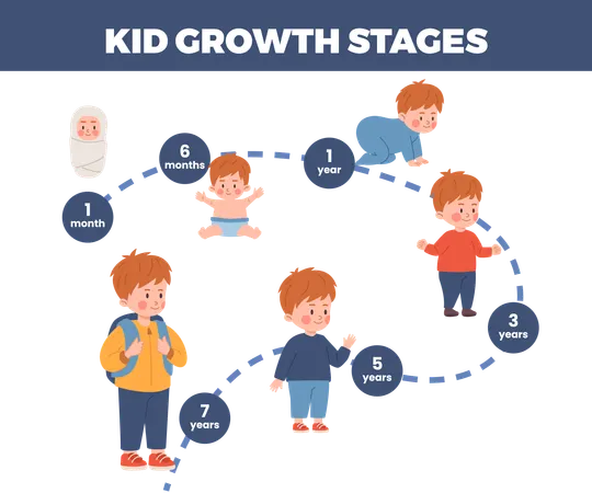 Kid growth stages infographic  Illustration