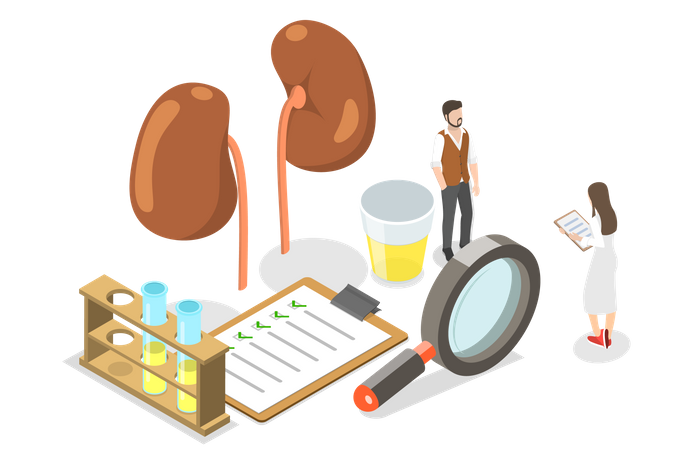 Kidney Checkup  Illustration