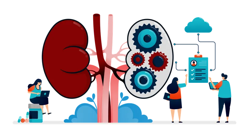 Illustration Design For Kidney Disease And Treatment Storage Of Internal Organ And Kidney Health Data In The Cloud Illustration