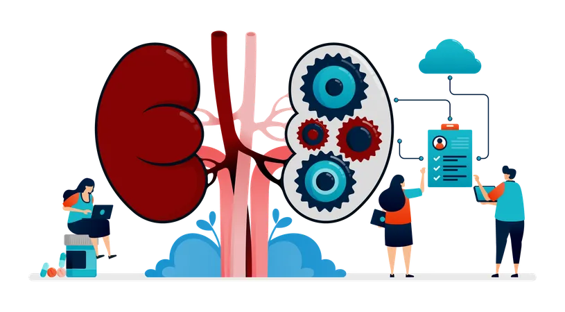 Kidney Disease  Illustration