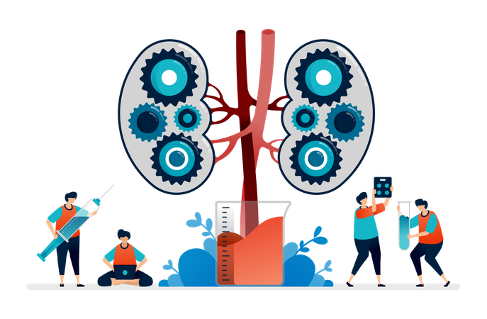 Kidney Disease  Illustration