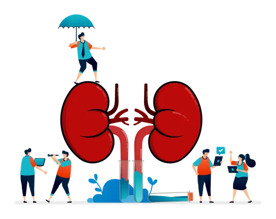 Illustration Design For Kidney Disease And Treatment Insurance For Internal Organs Simple Kidneys For Props Illustration