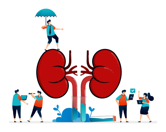 Kidney Disease Treatment  Illustration