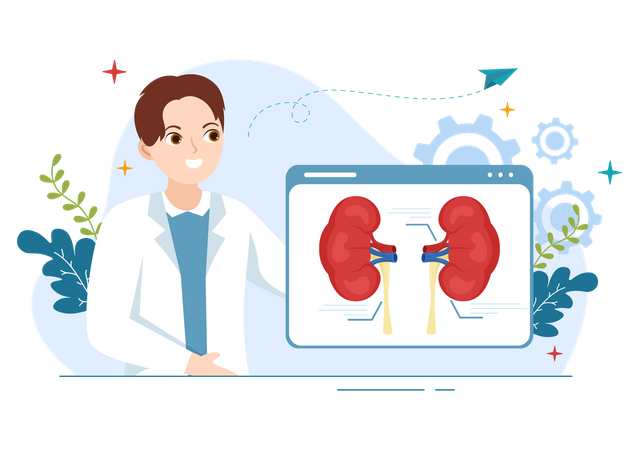 Kidney Doctor  Illustration