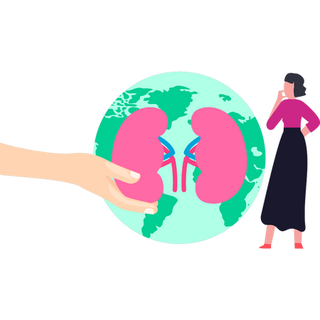 Kidney donation  Illustration