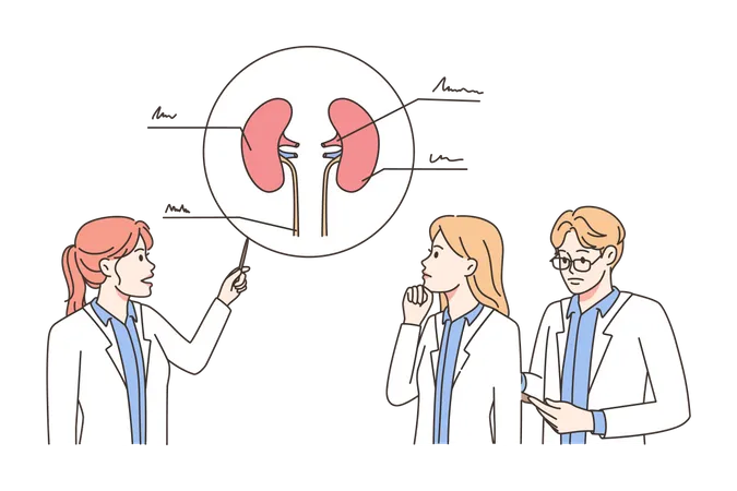 Kidney infection  Illustration