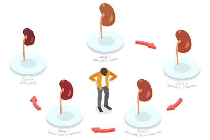 Kidney Problem  Illustration