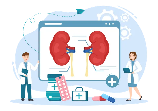 Nephrologist Illustration With Cardiologist Proctologist And Treat Kidneys Organ In Flat Cartoon Hand Drawn For Web Banner Or Landing Page Templates Illustration