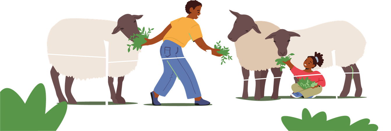 Kids feeding grass to sheep  イラスト