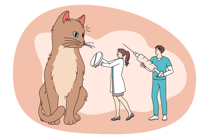 Kleine Ärzte heilen Katze mit Medikamenten  Illustration