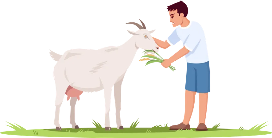 Kleiner Junge füttert Ziege mit Gras  Illustration