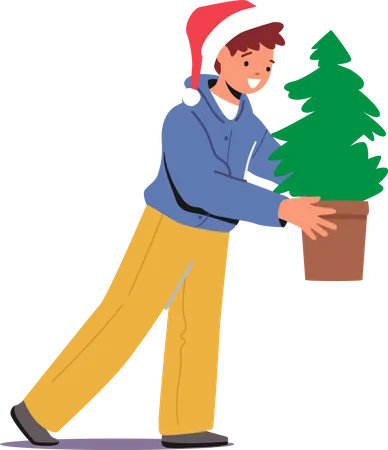 Kleiner Junge trägt einen eingetopften Tannenbaum  Illustration