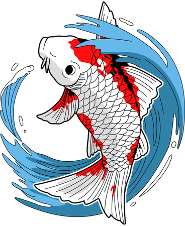 Koi fish and splash water  Illustration