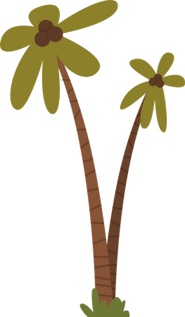Kokosnussbaum  Illustration