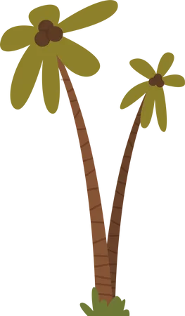 Kokosnussbaum  Illustration
