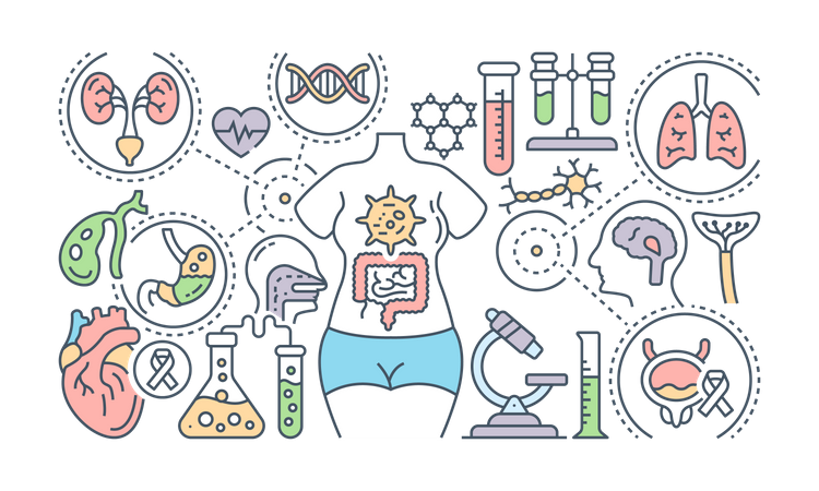 Krebs Illustration