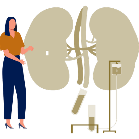 La femme explique le traitement du rein humain  Illustration