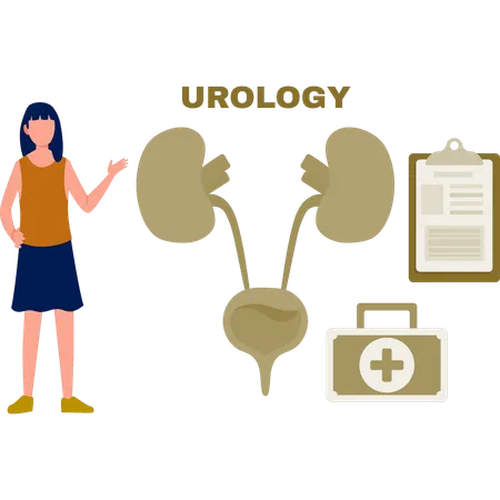 La fille pointe le système d'urologie humaine  Illustration