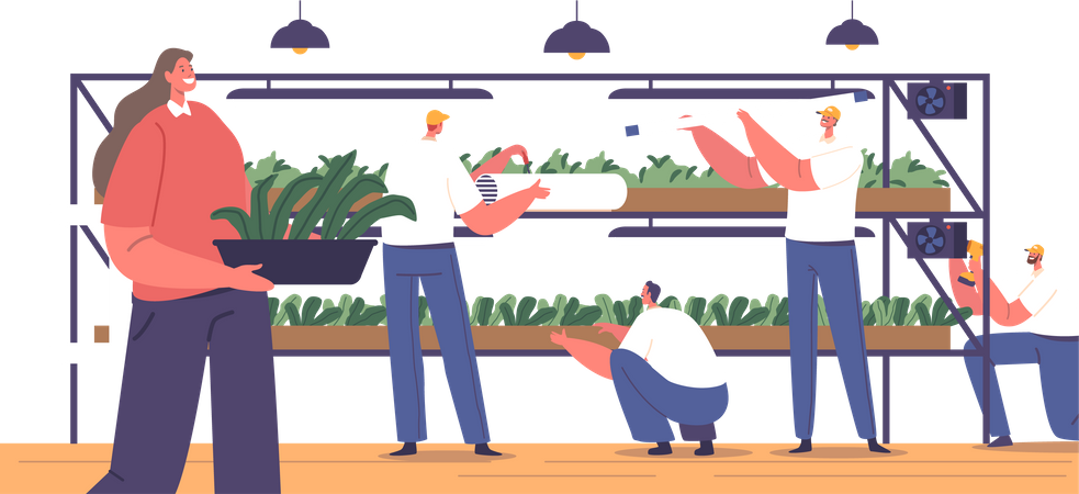 La gente construye bastidores para cultivar microvegetales  Ilustración