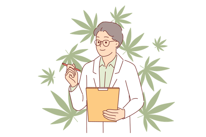 La légalisation du cannabis examinée par un homme médecin en manteau à l'aide d'un presse-papiers pour des expériences scientifiques  Illustration