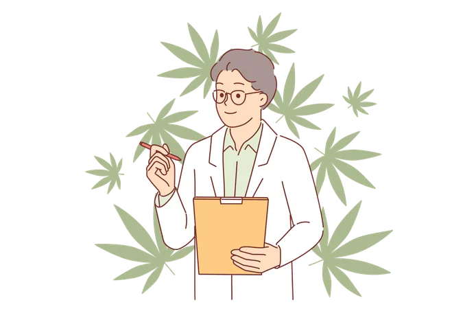 La légalisation du cannabis examinée par un homme médecin en manteau à l'aide d'un presse-papiers pour des expériences scientifiques  Illustration