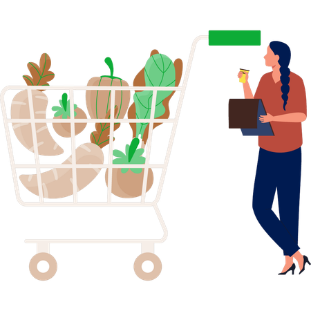 La mujer está comprando comestibles en línea.  Ilustración