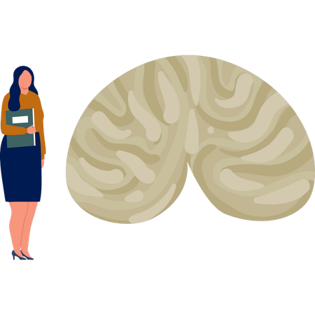 La mujer está explicando el cerebro humano.  Ilustración