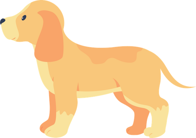 Labrador Dog  일러스트레이션