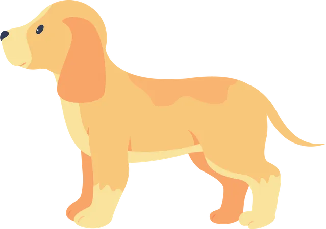 Labrador-Hund  Illustration