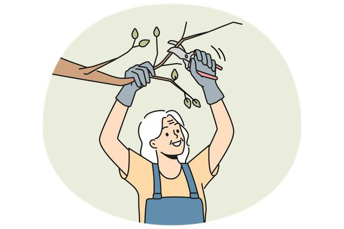 Lächelnde alte Frau schneidet Äste  Illustration