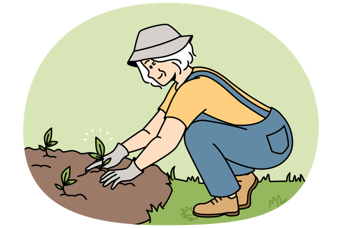 Lächelnde ältere Frau pflanzt Setzlinge  Illustration