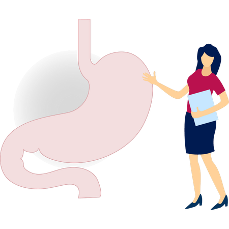 Lady doctor pointing stomach pain  Illustration