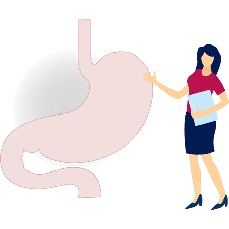 Lady doctor pointing stomach pain  Illustration