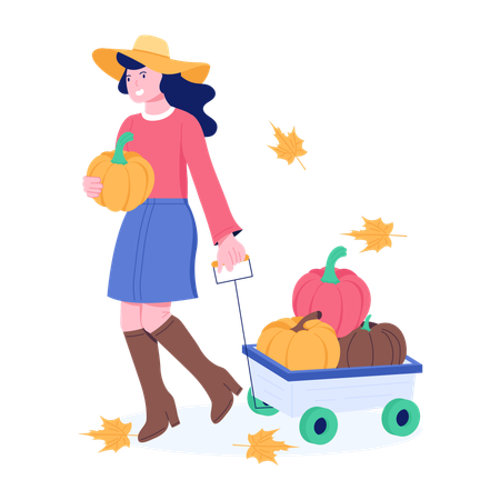 Lady doing Pumpkin Harvest  Illustration