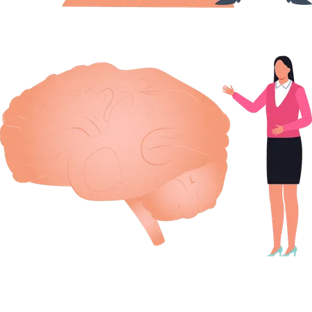 The Female Is Showing Human Brain Illustration