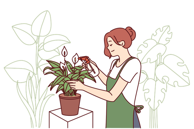 Lady is spraying water to indoor plants  Illustration