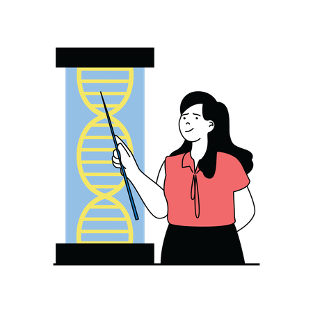 Lady showing dna structure  Illustration