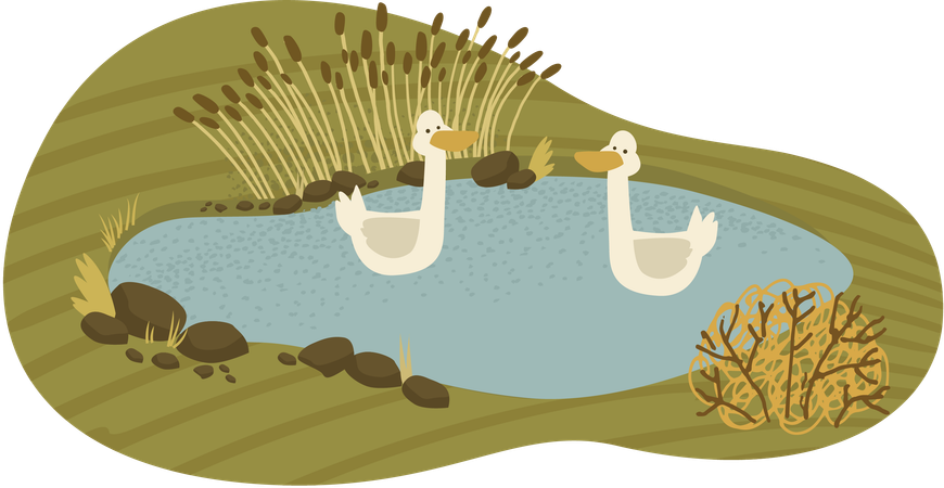 Lago Rural  Ilustração