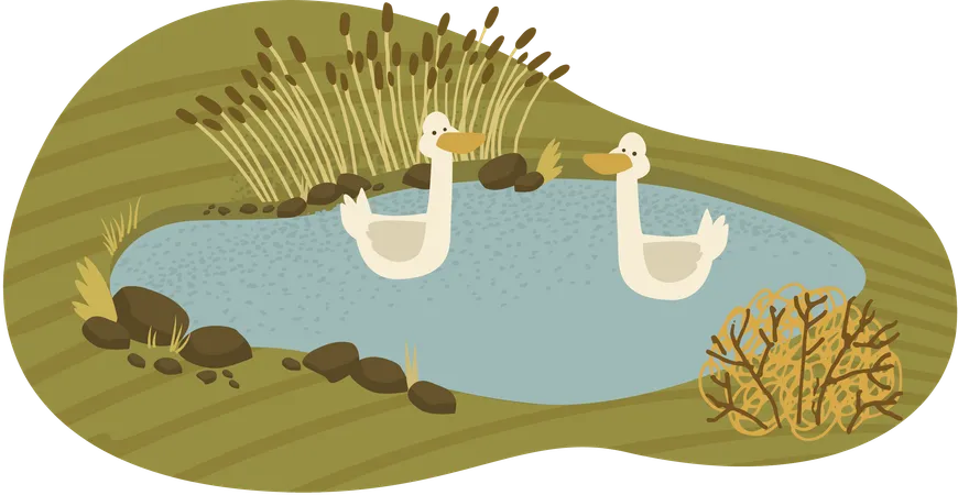 Lago Rural  Ilustração