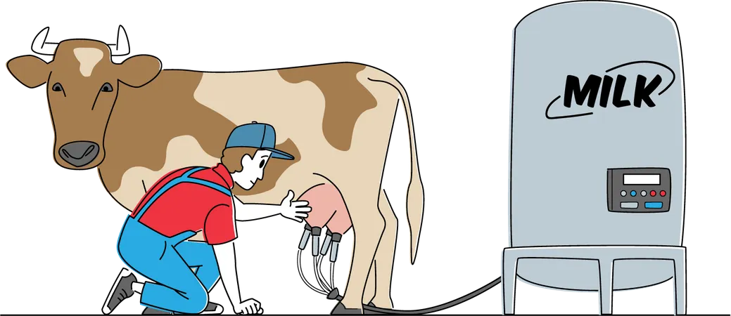 Laitier collectant le lait de vache à l'aide d'une machine à traire  Illustration