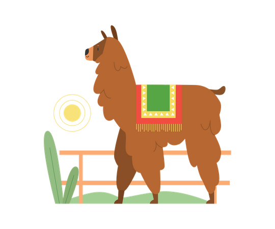 Lama  Illustration