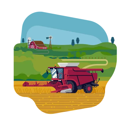 Landwirtschaft und Ackerbau mit Mähdrescher bei der Getreideernte  Illustration