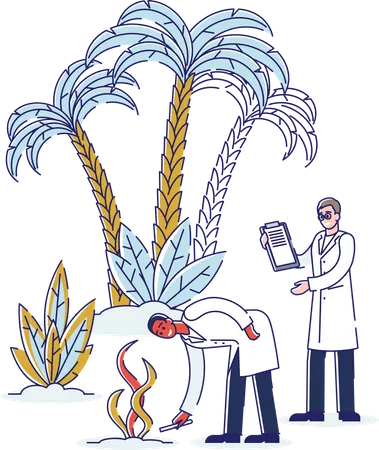 Landwirtschaftliche Forschung und Tests durch Spezialisten  Illustration