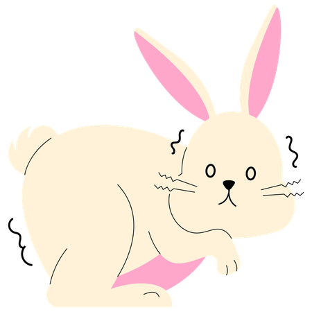 Lapin effrayé  Illustration