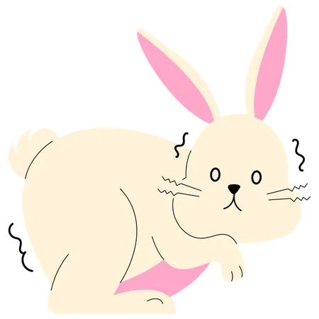 Lapin effrayé  Illustration