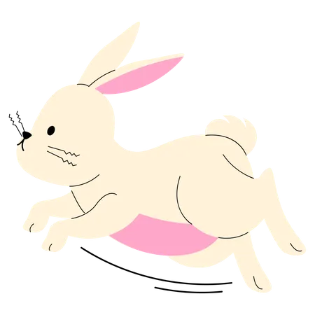 Lapin qui court  Illustration