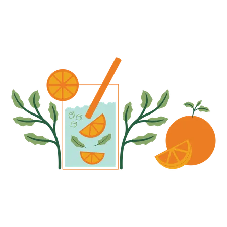 Hortelã laranja com folhas e frutas  Ilustração